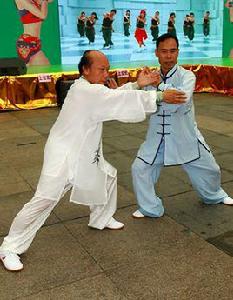 太極拳推手 太極拳推手