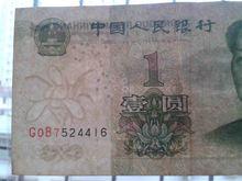 三冠大葉蘭  稀冠G0B實物圖