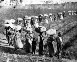 奴隸制度社會 奴隸制度社會