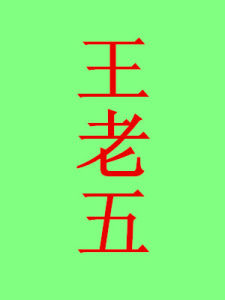 王老五[詞語概念]
