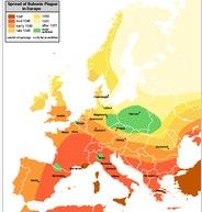 （圖）此地圖表示腺鼠疫在歐洲擴散的過程