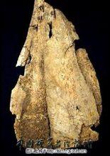 寶雞市博物館器具