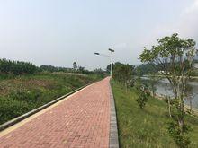 鎮河堤休閒公園