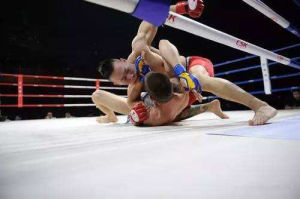 地面防守 地面防守