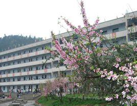 雲志中學 雲志中學