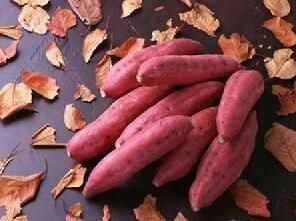 澱粉植物 澱粉植物