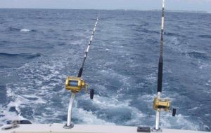 遊艇海洋主題活動戶外游