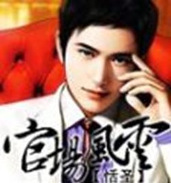 官場風雲 官場風雲