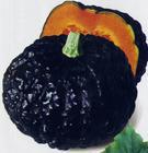 日本南瓜 日本南瓜