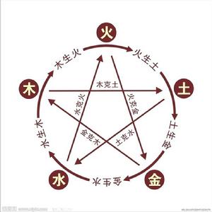 陽明金相人 陽明金相人