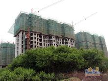 樓盤近期實景圖