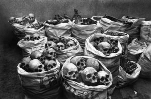 死難者的頭骨(2001)醫院研究過死者的髗骨，發現工廠泄漏的甲基異氰酸酯毒氣會損害腦部。