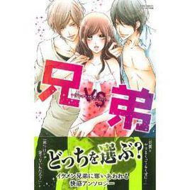 兄VS弟~アブナイ誘惑LOVE (ミッシィコミックスYLC Collection) [コミック]