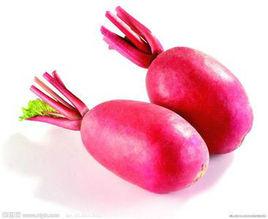 紅皮蘿蔔 紅皮蘿蔔