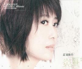 孟庭葦的炎夏 孟庭葦的炎夏