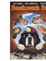 《無敵當家5》 《無敵當家5》