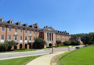 桑福德大學 桑福德大學