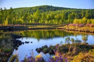 阿爾山國家森林公園