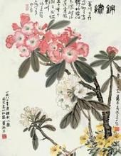 蕭淑芳高山杜鵑 蕭淑芳高山杜鵑