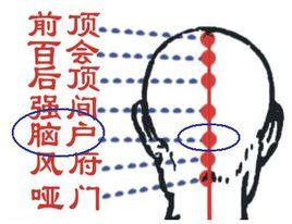 腦戶穴 腦戶穴