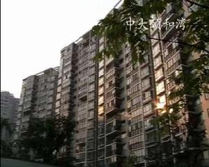 中大頤和灣 中大頤和灣