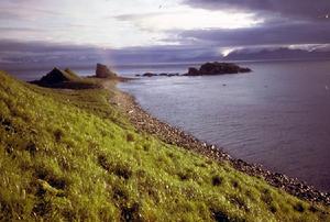 阿馬伽島 阿馬伽島