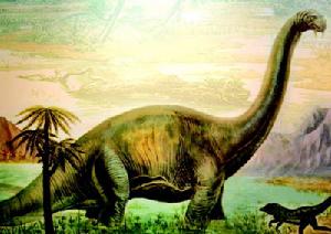 （圖）馬門溪龍