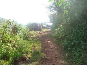 大丙朗自然村 大丙朗自然村