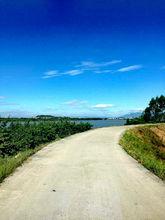 漫步霞貫江濱路