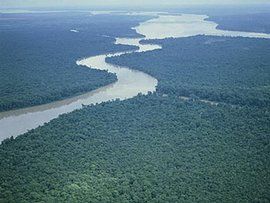 亞馬遜河流