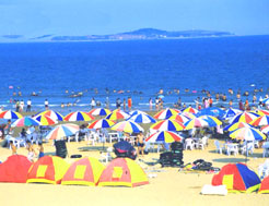 金沙灘旅遊中心 金沙灘旅遊中心