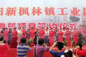 楓林鎮[黃石市陽新縣楓林鎮]