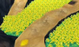 美樂美樂花園 美樂美樂花園