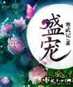 盛寵[起點小說]