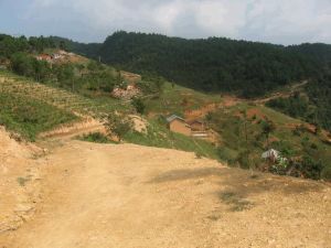 龍汪廟村 龍汪廟村