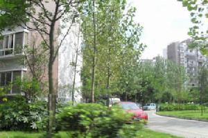 古城小區 古城小區