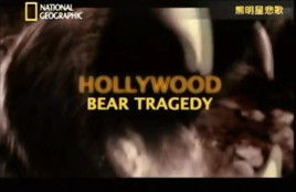 國家地理:熊明星悲歌 國家地理:熊明星悲歌