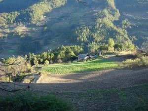 阿黑落村 阿黑落村