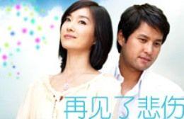 《再見吧，悲傷》