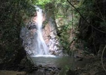 黑石頂自然保護區 黑石頂自然保護區