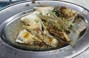 順德古法蒸魚頭 順德古法蒸魚頭