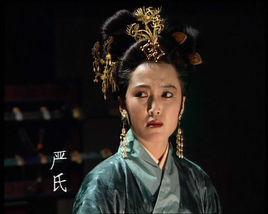 嚴夫人[古典小說《三國演義》人物]