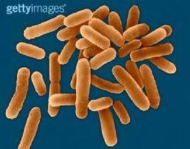 消散延遲性肺炎 消散延遲性肺炎