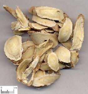 敷陽固精丸 敷陽固精丸