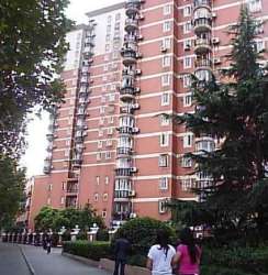 楊波大廈 楊波大廈