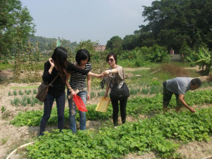 石磨坊農家樂 石磨坊農家樂