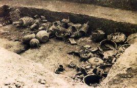 淅川楚墓 淅川楚墓