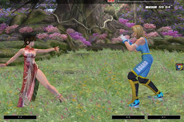 生死格鬥ol單機版 生死格鬥ol單機版