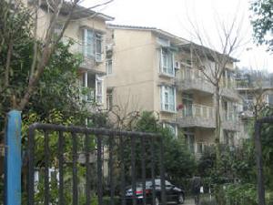 青城山水 青城山水