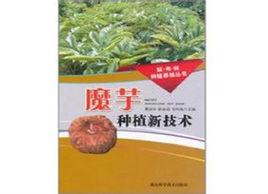 魔芋種植新技術 魔芋種植新技術